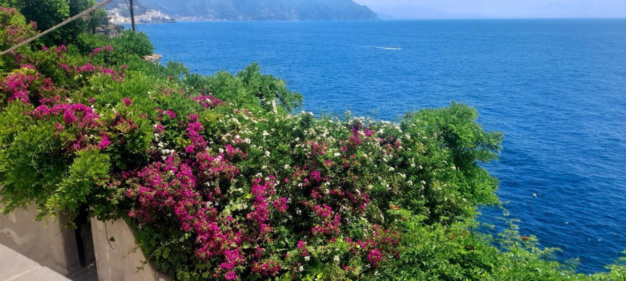 Villa Gianna Amalfi Coast コンカ・デイ・マリーニ エクステリア 写真